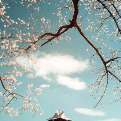 魔域苍穹游戏下载
