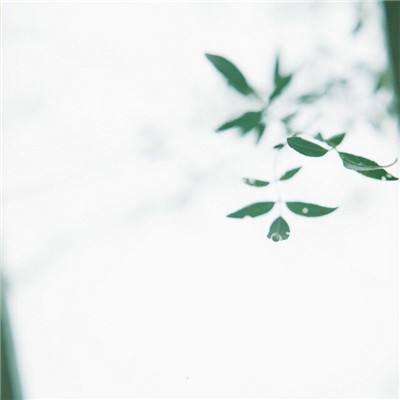 萌仙剑尊手游下载