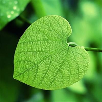 荒岛求生手游在线玩